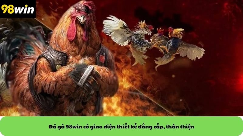 Đá gà 98win có giao diện thiết kế đẳng cấp, thân thiện
