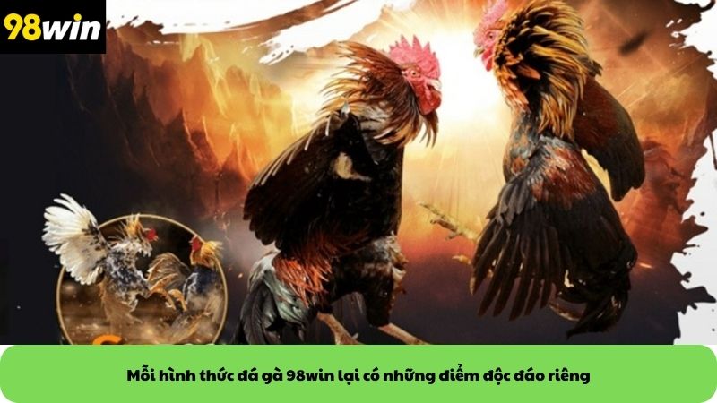 Mỗi hình thức đá gà 98win lại có những điểm độc đáo riêng